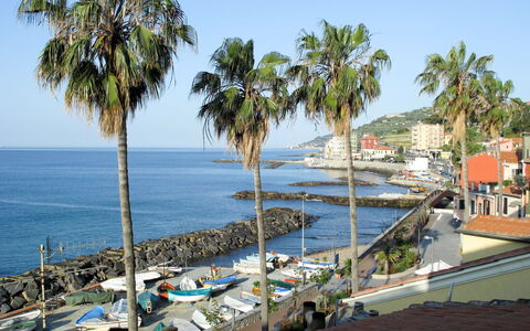 Casa Matis (Imp151): Arbre, Palmier, Propriété, Vacances, Côte, Arecales, Tourisme, Plage, Mer, Rive