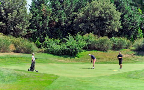 Eden: Plante, Club De Golf, Vert, Équipement Sportif, Arbre, Environnement Naturel