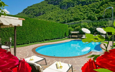 Postal 602: L'Eau, Plante, Propriété, Piscine, Botanique, La Nature, Bleu Azur, Mobilier De Jardin, Arbre, Ombre