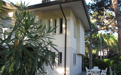 Villa Isolina: Plante, Bâtiment, Ciel, Arbre, Fenêtre, Maison, Ombre, Arecales, Immobilier, Chalet