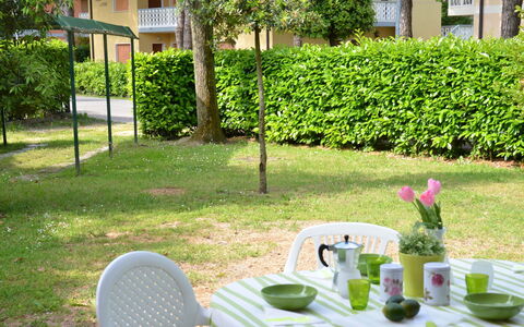 Maitè: Plante, Table, Vaisselle, Fenêtre, Meubles, Vert, La Nature, Arbre, Bâtiment, Chaise