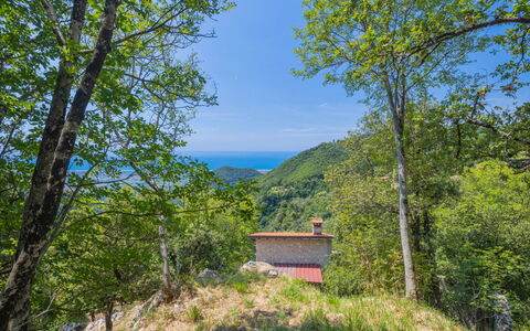Vincio: La Nature, Arbre, Propriété, Réserve Naturelle, Végétation, Environnement Naturel, Région Sauvage, Montagne, Ciel, Forêt