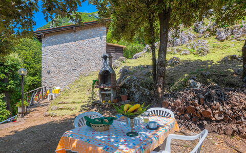 Vincio: Propriété, Arbre, Maison, Chalet, Zone Rurale, Immobilier, Table, Domicile, Cour, Paysage
