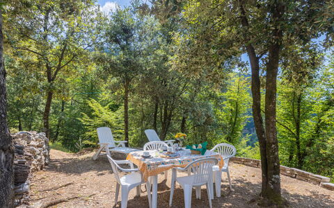 Vincio: Propriété, La Nature, Arbre, Immobilier, Table, Réserve Naturelle, Environnement Naturel, Meubles, Chalet, Maison