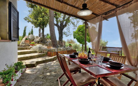 Ciuffini: Plante, Propriété, Table, Bâtiment, Arbre, Design Intérieur, Ciel, Ombre, Mobilier De Jardin, Chaise