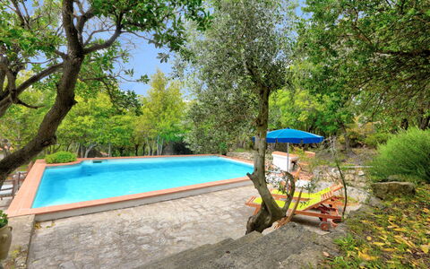 Ciuffini: Plante, L'Eau, Piscine, Arbre, Ombre, Mobilier De Jardin, Ciel, Paysage, Loisir, Herbe