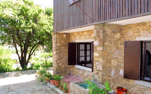 Senhor Do Socorro: Plante, Bâtiment, Propriété, Fenêtre, Pot De Fleur, Plante D'Appartement, Arbre, Ombre, Quartier, Mur