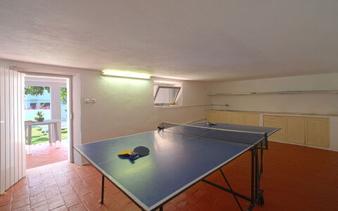 Azul: Meubles, Table, Fenêtre, Équipement Sportif, Bâtiment, Tennis De Table Raquette, Chaise, Salle, Bois, Sol
