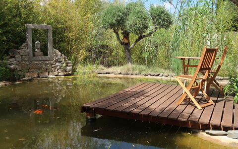 Quintal das Oliveiras: L'Eau, Plante, Ressources En Eau, Ciel, La Nature, Paysage Naturel, Botanique, Arbre, Lac, Biome