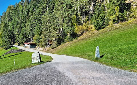 Radstadt 606: Herbe, Arbre, Surface De La Route, Route, Asphalte, Arbuste, Rue, Couverture De Sol, Montagne Pass