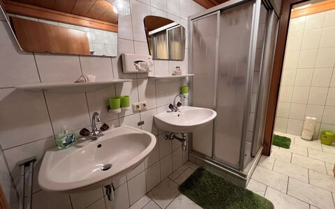 Kaprun 663: Miroir, Robinet, Luminaire Plomberie, Évier, Lavabo, Propriété, Plante, Salle De Bains, Design Intérieur, Violet