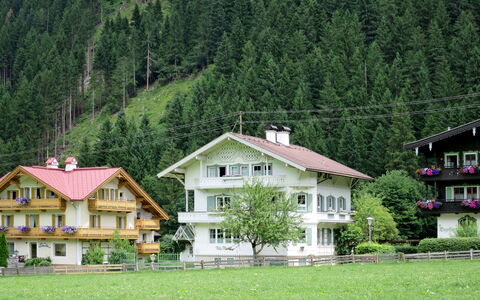 Mayrhofen 686: Bâtiment, Plante, Montagne, Paysage Naturel, Maison, Arbre, Montagnes, Lot Terre, Biome, Chalet