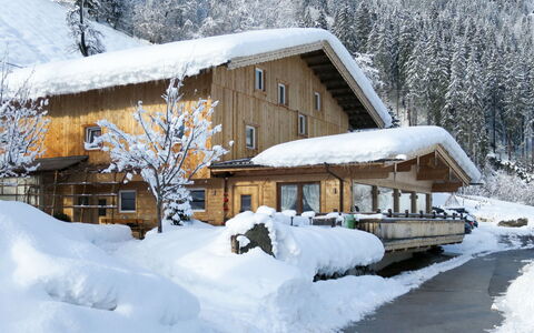 Talbach: Neige, Bâtiment, Jour, Propriété, Fenêtre, Arbre, Maison, Branche, Chalet, L'Eau