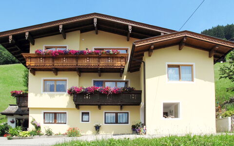 Brugger: Ciel, Plante, Bâtiment, Propriété, Fenêtre, Maison, Fleur, Lot Terre, Arbre, Bois