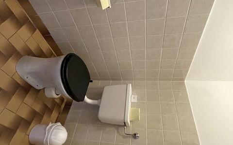 Wildschönau 650: Luminaire Plomberie, Toilette, Salle De Bains, Design Intérieur, Sol, Sol
