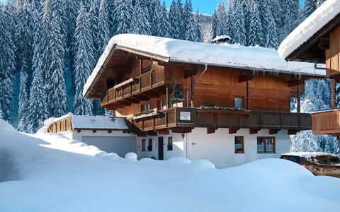 Wildschönau 664: Bâtiment, Ciel, Neige, Arbre, Maison, Pente, Bois, Branche, Fenêtre, Gelé
