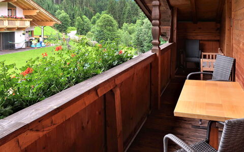 Wildschönau 664: Plante, Bâtiment, Fleur, Table, Bois, Arbre, Maison, Fenêtre, Architecture, Tache De Bois