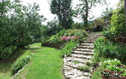 Bottino: Jardin, Végétation, Jardin Botanique, Paysage Naturel, Propriété, Plante, Cour, Arbre, Botanique, Herbe