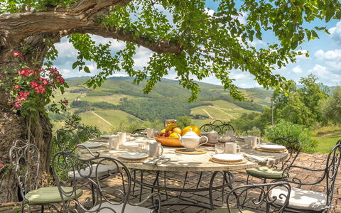 Camporempoli: Meubles, Table, Chaise, Mobilier De Jardin, Table Cuisine Et Salle A Manger, Tableau De Plein Air, Nappe De Table, Restaurant, Jardin
