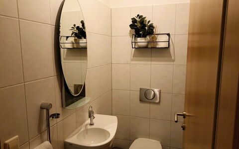 Schmidt: Miroir, Robinet, Luminaire Plomberie, Évier, Propriété, Lavabo, Plante, Salle De Bains, Noir, Design Intérieur