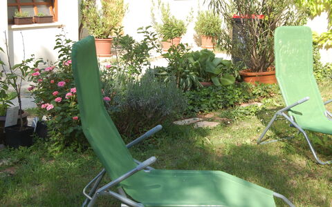 Mörbisch am See 603: Plante, Propriété, Fenêtre, Mobilier De Jardin, Herbe, Fleur, Terrestre Des Plantes, Chaise, Accoudoir, Arbuste