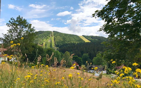 Harrachovka: Fleur, Ciel, Plante, Nuage, Communauté Des Plantes, Écorégion, Paysage Naturel, Montagne, Lot Terre
