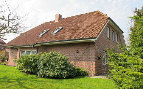 Gitta: Plante, Ciel, Bâtiment, Fenêtre, Nuage, Arbre, Maison, Bois, Chalet, Lot Terre