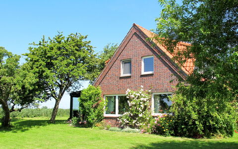 Horumersiel 656: Bâtiment, Plante, Ciel, Fenêtre, Paysage Naturel, Maison, Arbre, Lot Terre, Herbe, Chalet