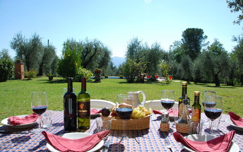 Casa Tonio: Repas, Pique-Nique, Un Événement, Des Loisirs, Table, La Photographie, Nappe De Table, Linge, Paysage, Restaurant