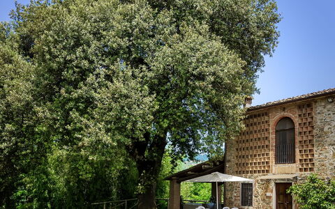 Casa Tonio: Arbre, Propriété, Suppression Des Plantes Ligneuses, Plante, Maison, Printemps, Architecture, Herbe, Arbuste, Bâtiment
