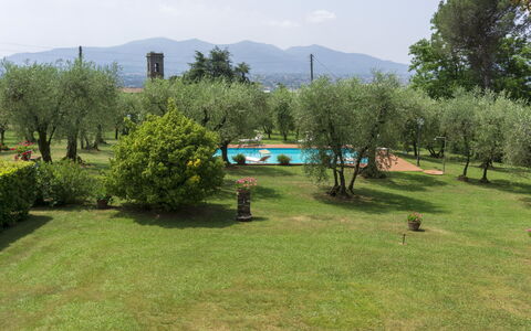 Casa Tonio: Lot Terre, Prairie, Paysage Naturel, Propriété, Herbe, Complexe Sportif, Station De Montagne, Arbre, Paysage, Prairie