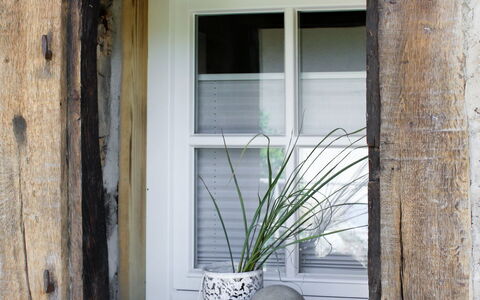 Am Bächle: Plante, Fenêtre, Propriété, Pot De Fleur, Plante D'Appartement, Bois, Porte, Rectangle, Bâtiment