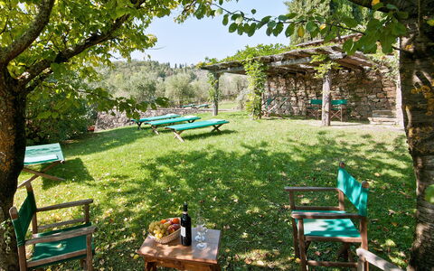 Casavecchia: Plante, Vert, Ombre, Arbre, Botanique, Mobilier De Jardin, Végétation, Paysage Naturel, Herbe, Biome