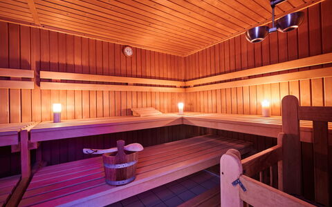 Heckenrose mit Badewelt und Sauna Inkl.: Sol, Plafond, Piscine, Conception, Recours, Centre De Loisirs, Hôtel, Tache De Bois, Sauna, Luminaire