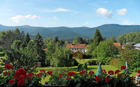 Irene: La Nature, Végétation, Ciel, Région Sauvage, Propriété, Fleur, Station De Montagne, Botanique, Montagne, Jardin