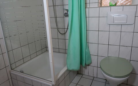 Wesenberg 602: Luminaire Plomberie, Propriété, Salle De Bains, Violet, Douche, Design Intérieur, Sol, Sol, Porte De Douche