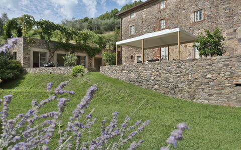 Chiodo: Lavande, Propriété, Fleur, Maison, Plante, Architecture, Mur, Herbe, Bâtiment, Jardin
