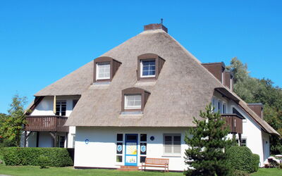location de vacances Ostseebad Prerow 605 - Ribnitz-Damgarten, Mecklembourg-Poméranie-Occidentale, Allemagne - Kormoran (Prw111) 605.2
