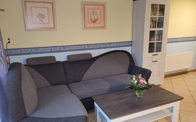 Breege 639: Meubles, Cadre, Propriété, Table, Fleur, Plante, Canapé, Design Intérieur, Canapé-Lit, Sol