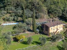 Damiano