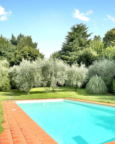 Franello
