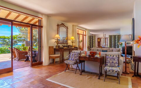 Finca L'Embat: Meubles, Bibliothèque, Cadre, Plante, Étagère, Bois, Chaise, Table, Salon, Sol