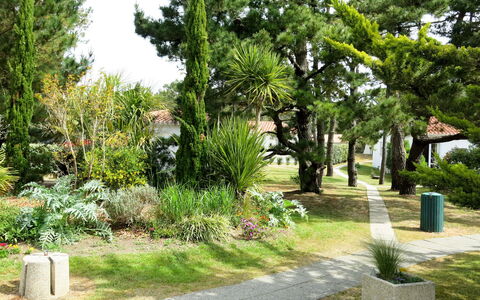 Saint Hilaire de Riez 606: Arbre, Végétation, Cimetière, Botanique, Herbe, La Tombe, Jardin, Plante, Famille Grass, Suppression Des Plantes Ligneuses