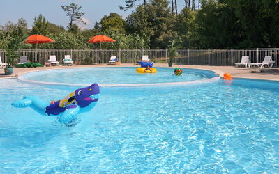 location de vacances Ile D'Oléron 623 - Domino, Région Poitou-Charentes, France - Les Sables Vignier (Ido230) 623.1