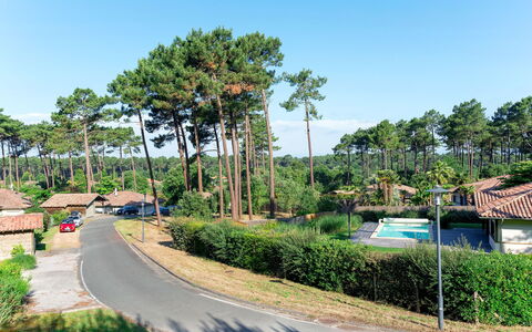 Moliets 626: Plante, Ciel, Arbre, Éclairage Public, Paysage Naturel, Surface De La Route, Asphalte, Arecales, Lot Terre, Design Urbain