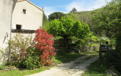 Marguerie: Plante, Ciel, Fleur, Propriété, Bâtiment, Fenêtre, Nuage, Paysage Naturel, Maison, Lot Terre