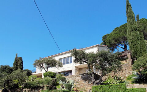 Le Lavandou 604: Plante, Ciel, Bâtiment, Fenêtre, Arbre, Arecales, Design Urbain, Maison, Paysage, Façade