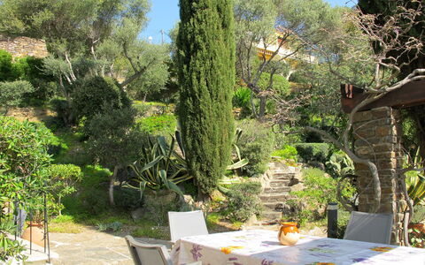 Le Lavandou 604: Propriété, Arbre, Végétation, Jardin, Botanique, Immobilier, Table, Plante, Jardin Botanique, Cour