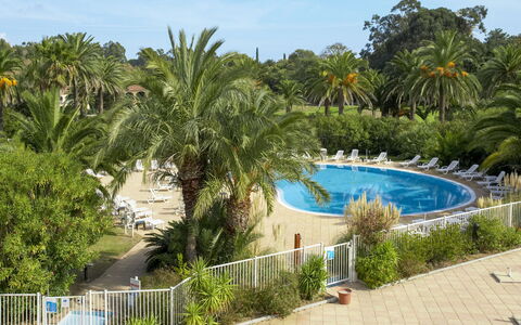 Port Grimaud 615: L'Eau, Plante, Ciel, Nuage, Piscine, Arbre, Végétation, Arecales, Loisir, Paysage