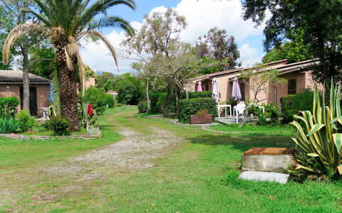 San Nicolao 674: Propriété, Domicile, Maison, Immobilier, Biens, Bâtiment, Cour, Herbe, Pelouse, Zone Résidentielle